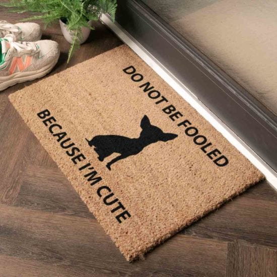 Chihuahua Doormat