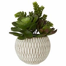 Interiors By Ph Mixed Faux Succulents Ceramic Pot White