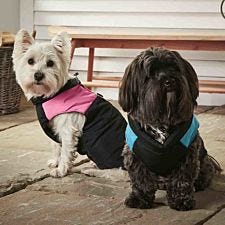 Bunty Dog Puffer Jacket - Pink - Large