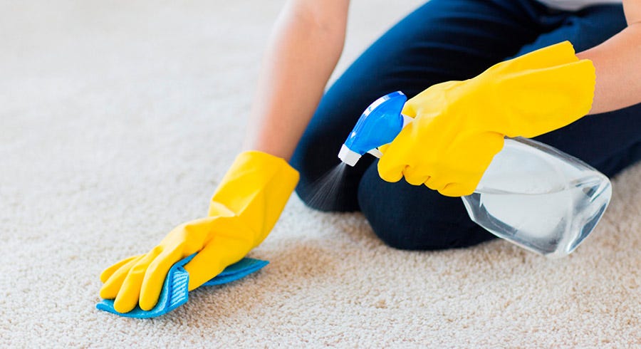 How to Clean Carpet in 7 Simple Steps